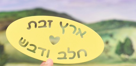 שבלונות- משפטים מועדים