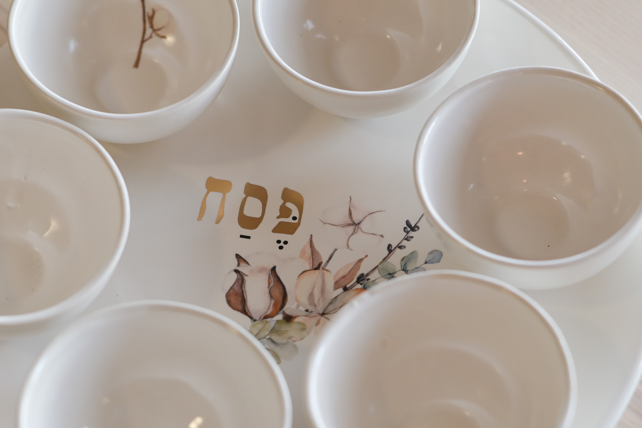 קערת סדר | דגם פסח