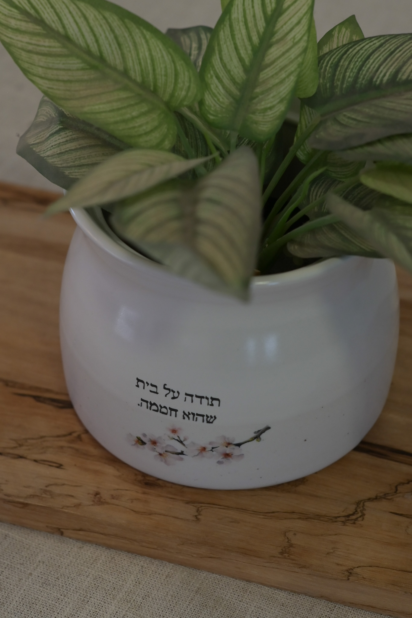 כלי לעציץ | בית שהוא חממה