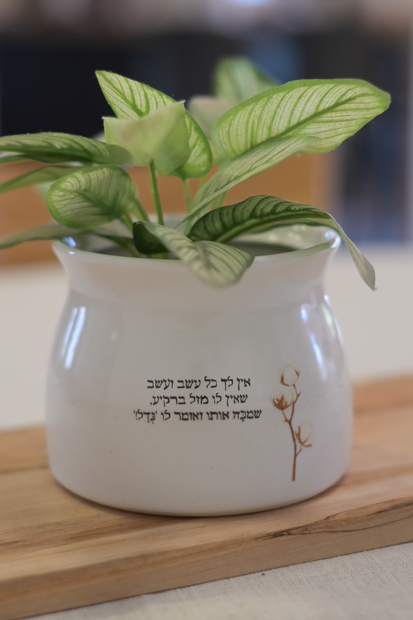 כלי לעציץ | מזל ברקיע