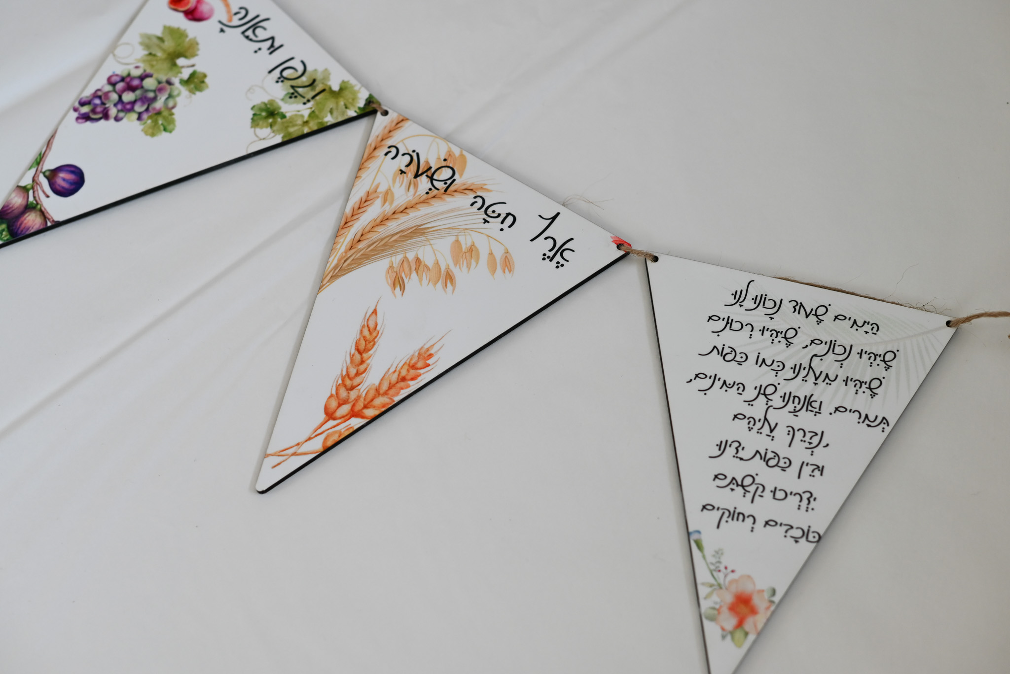 קישוטים לסוכה דגלונים שבעת המינים