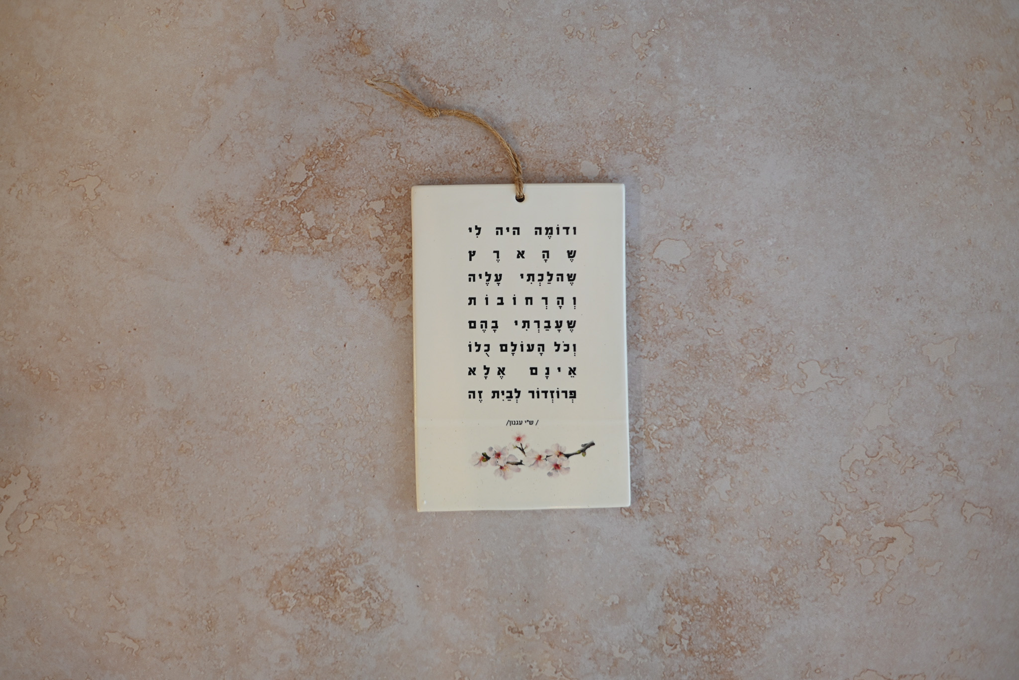 אריח עם שיר | ודומה היה לי
